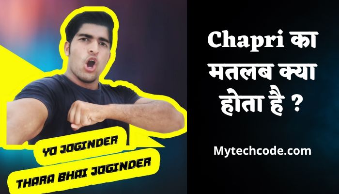 Chapri का मतलब क्या होता है ? | Chapri meaning in hindi