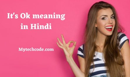 It's Ok meaning in Hindi