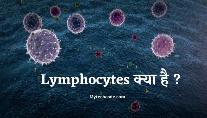 Lymphocytes Meaning in Hindi