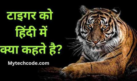 Tiger ko hindi mein kya kahate hain | टाइगर को हिंदी में क्या कहते है?