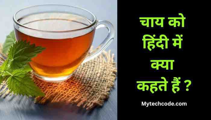 Chai Ko Hindi Mein Kya Kahate Hain | चाय को हिंदी में क्या कहते हैं ?