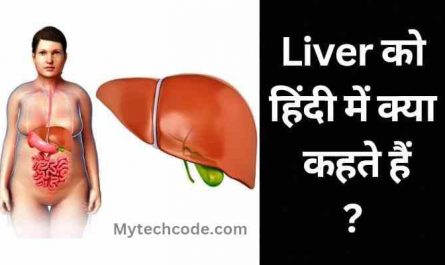 Liver ko hindi mein kya kahate hain | लिवर को हिंदी में क्या कहते हैं?