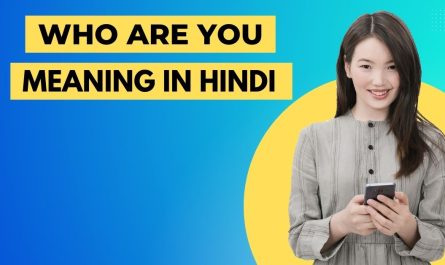 Who Are You Meaning in Hindi