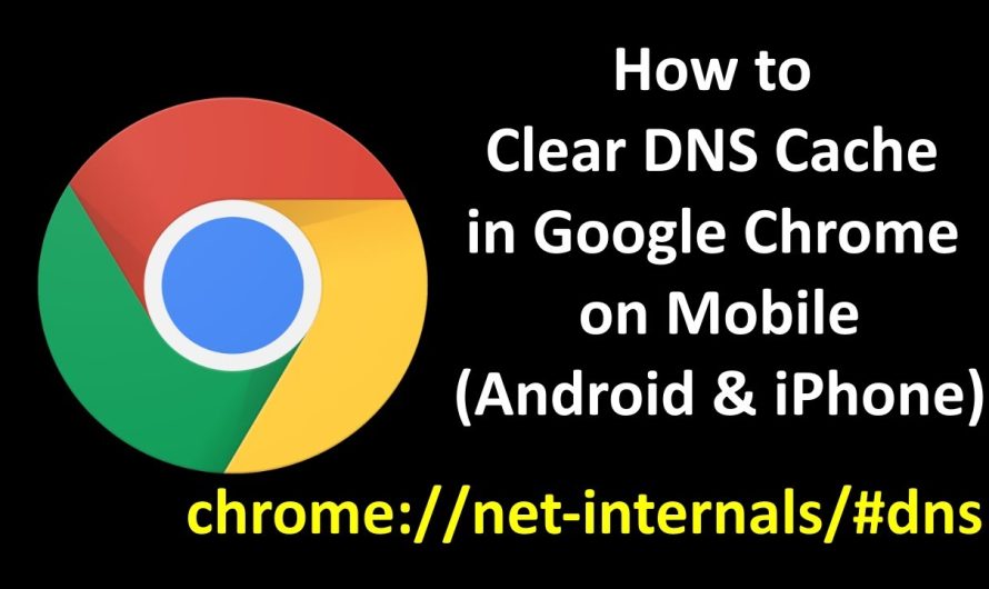 Chrome //net-internals/#dns: Domain Name System (DNS)