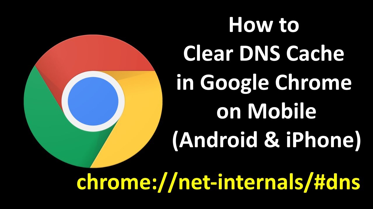 Chrome //net-internals/#dns