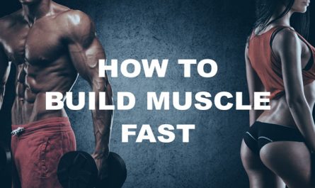 Wellhealthorganic.com/How-to-Build-Muscle-Know-Tips-To-Increase-Muscles